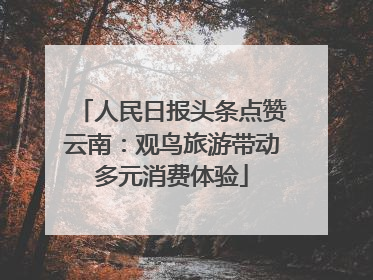 人民日报头条点赞云南：观鸟旅游带动多元消费体验