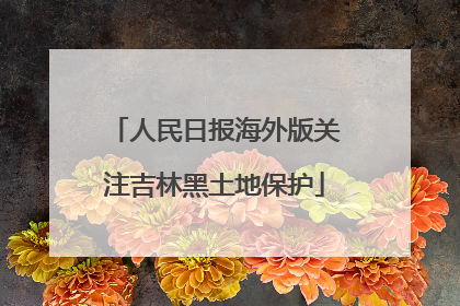 人民日报海外版关注吉林黑土地保护