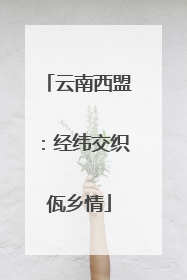 云南西盟：经纬交织佤乡情