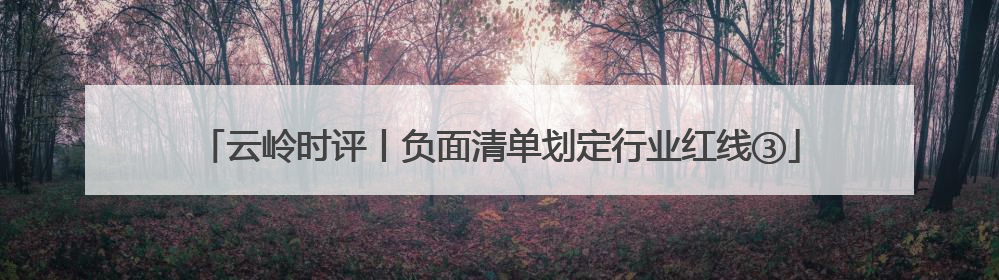 云岭时评丨负面清单划定行业红线③