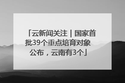 云新闻关注｜国家首批39个重点培育对象公布，云南有3个