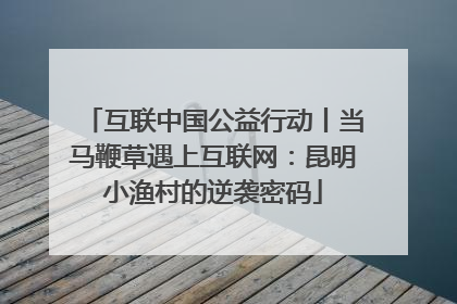 互联中国公益行动丨当马鞭草遇上互联网：昆明小渔村的逆袭密码