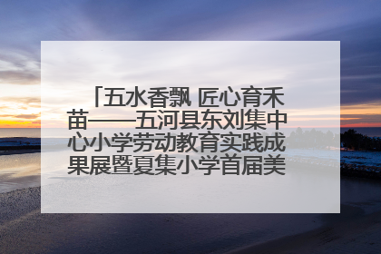 五水香飘 匠心育禾苗——五河县东刘集中心小学劳动教育实践成果展暨夏集小学首届美食节盛大举行