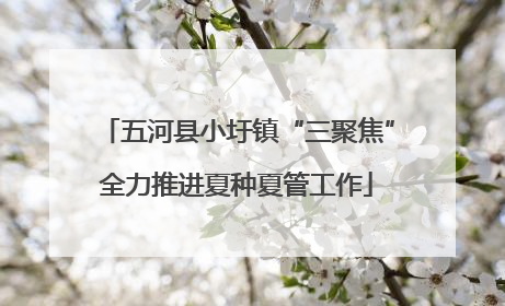 五河县小圩镇“三聚焦”全力推进夏种夏管工作