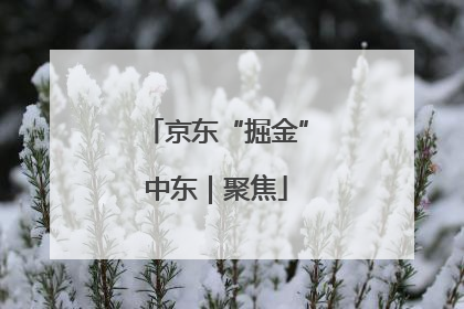 京东“掘金”中东｜聚焦
