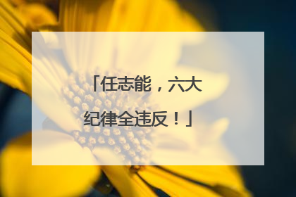 任志能，六大纪律全违反！