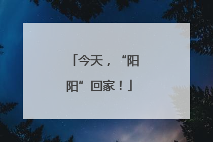 今天，“阳阳”回家！