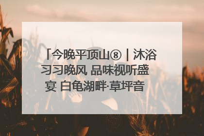 今晚平顶山⑧｜沐浴习习晚风 品味视听盛宴 白龟湖畔·草坪音乐会激情上演