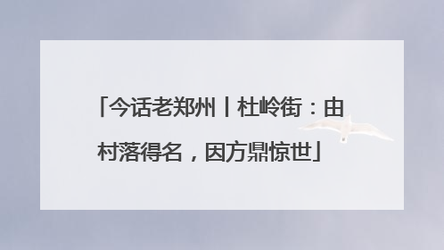 今话老郑州丨杜岭街：由村落得名，因方鼎惊世