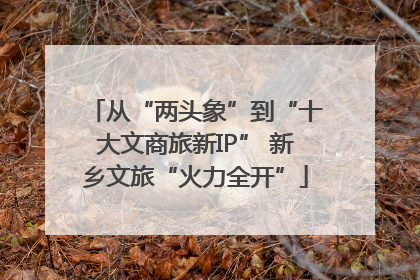从“两头象”到“十大文商旅新IP” 新乡文旅“火力全开”