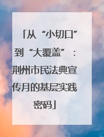 从“小切口”到“大覆盖”：荆州市民法典宣传月的基层实践密码