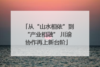 从“山水相依”到“产业相融” 川渝协作再上新台阶