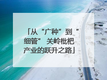 从“广种”到“细管” 关岭枇杷产业的跃升之路