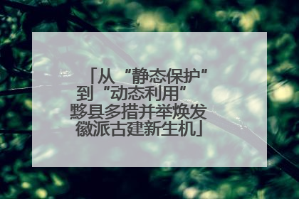从“静态保护”到“动态利用” 黟县多措并举焕发徽派古建新生机