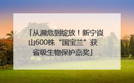 从濒危到绽放！新宁崀山600株“国宝兰”获省级生物保护嘉奖