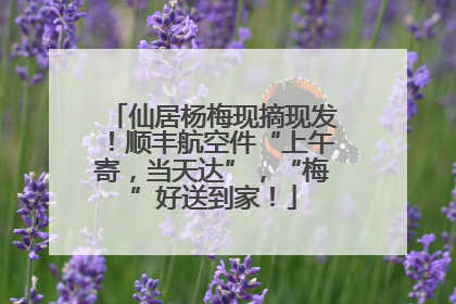 仙居杨梅现摘现发！顺丰航空件“上午寄，当天达”，“梅”好送到家！