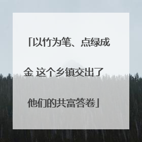以竹为笔、点绿成金 这个乡镇交出了他们的共富答卷
