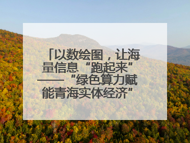 以数绘图，让海量信息“跑起来”——“绿色算力赋能青海实体经济”系列报道①