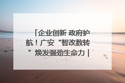 企业创新 政府护航！广安“智改数转”焕发强劲生命力｜市州焕新力