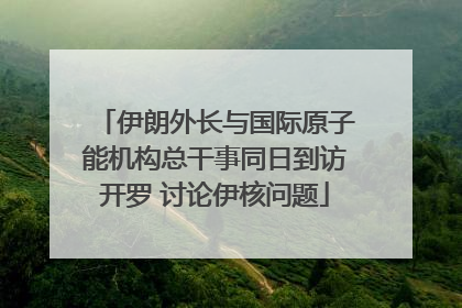 伊朗外长与国际原子能机构总干事同日到访开罗 讨论伊核问题