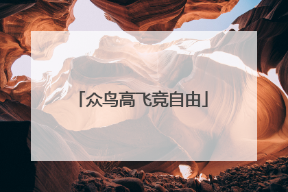 众鸟高飞竞自由