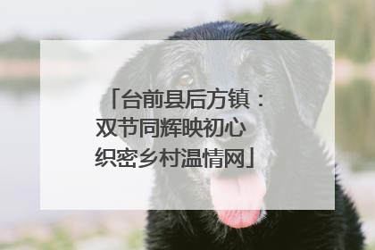 台前县后方镇：双节同辉映初心 织密乡村温情网