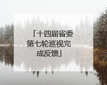 十四届省委第七轮巡视完成反馈
