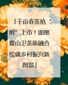 千亩春茶抢“鲜”上市！即墨鳌山卫茶旅融合绘就乡村振兴新图景