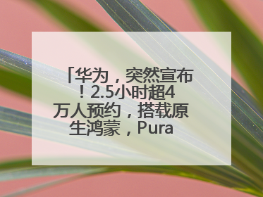 华为，突然宣布！2.5小时超4万人预约，搭载原生鸿蒙，Pura 80外观曝光