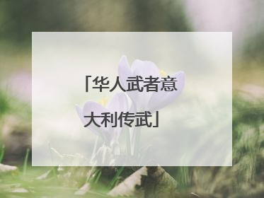 华人武者意大利传武
