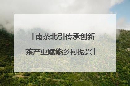 南茶北引传承创新 茶产业赋能乡村振兴