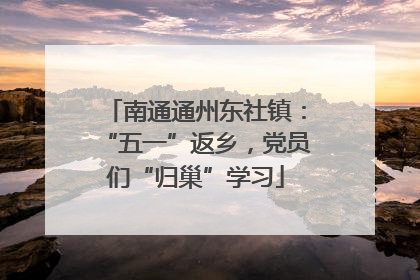 南通通州东社镇：“五一”返乡，党员们“归巢”学习