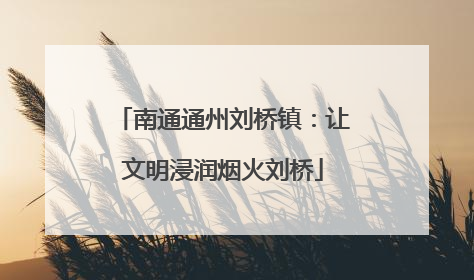 南通通州刘桥镇：让文明浸润烟火刘桥