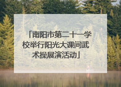 南阳市第二十一学校举行阳光大课间武术操展演活动