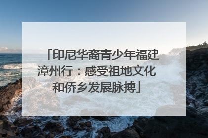 印尼华裔青少年福建漳州行：感受祖地文化和侨乡发展脉搏