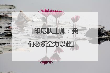 印尼队主帅：我们必须全力以赴