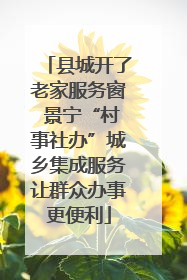 县城开了老家服务窗 景宁“村事社办”城乡集成服务让群众办事更便利