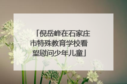 倪岳峰在石家庄市特殊教育学校看望慰问少年儿童