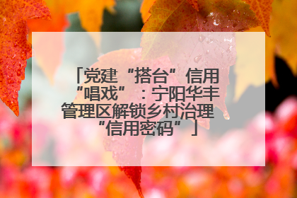 党建“搭台”信用“唱戏”：宁阳华丰管理区解锁乡村治理“信用密码”