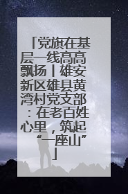 党旗在基层一线高高飘扬丨雄安新区雄县黄湾村党支部：在老百姓心里，筑起“一座山”