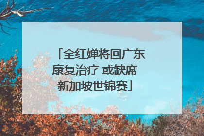 全红婵将回广东康复治疗 或缺席新加坡世锦赛
