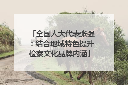 全国人大代表张强：结合地域特色提升检察文化品牌内涵