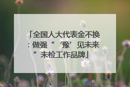 全国人大代表金不换：做强“‘豫’见未来”未检工作品牌