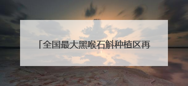 全国最大黑喉石斛种植区再添新景 金色花海扮靓龙陵