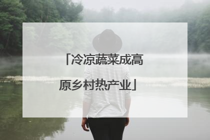 冷凉蔬菜成高原乡村热产业