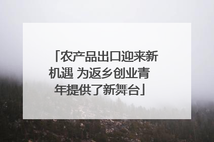 农产品出口迎来新机遇 为返乡创业青年提供了新舞台