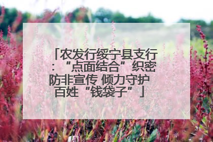 农发行绥宁县支行：“点面结合”织密防非宣传 倾力守护百姓“钱袋子”