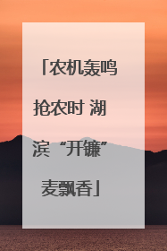 农机轰鸣抢农时 湖滨“开镰”麦飘香