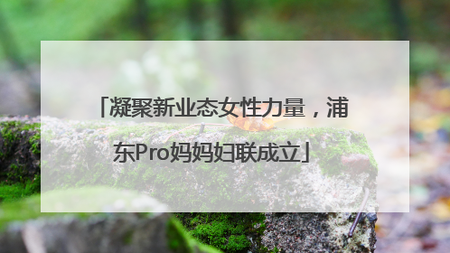 凝聚新业态女性力量，浦东Pro妈妈妇联成立