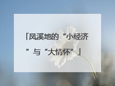 凤溪地的“小经济”与“大情怀”